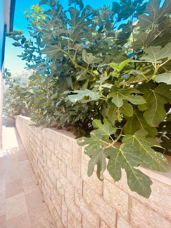 Hotel Buenavista Beach House Trogir Mastrinka Exterior foto